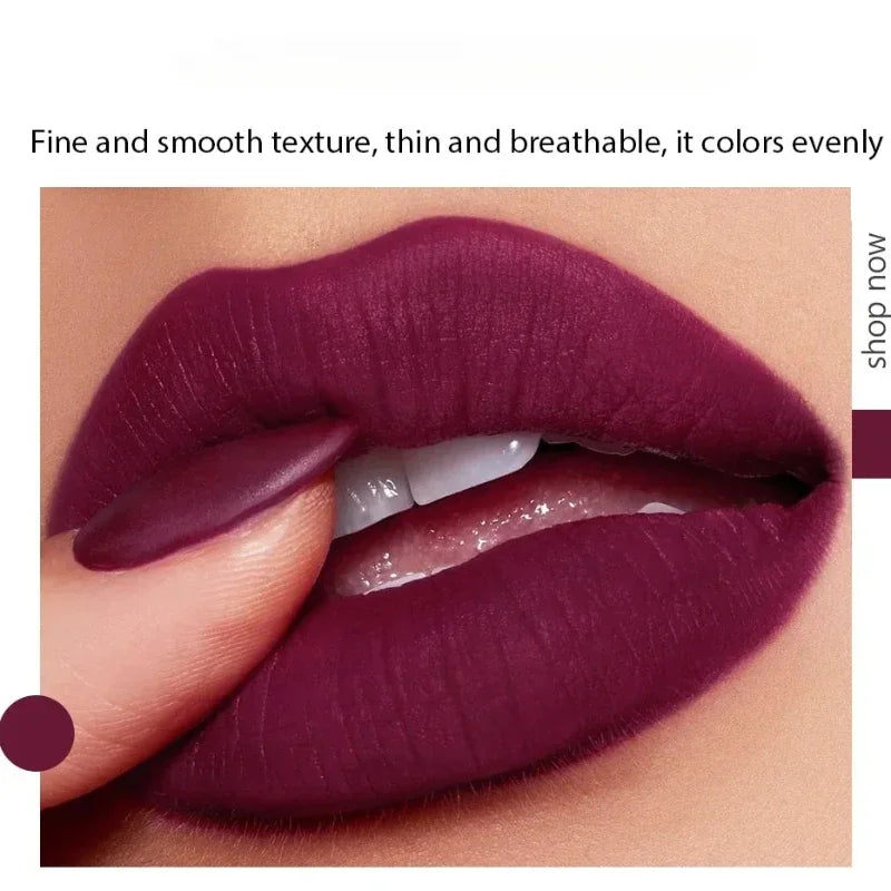 5 in 1 Velvet Matte Lipstick