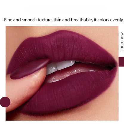5 in 1 Velvet Matte Lipstick