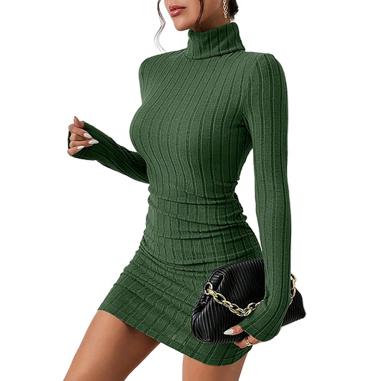 Women’s Turtleneck Bodycon Mini Dress